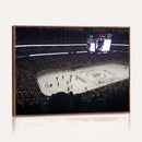 Honda Center California Anaheim Ducks Hockey Stadium Wall