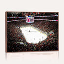 PNC Arena Raleigh North Carolina Hurricanes Hockey Stadium