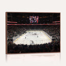 T Mobile Arena Paradise Nevada Vegas Golden Knights Ice