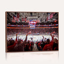 Carolina Hurricanes Ice Hockey Stadium Wall Art, Carolina