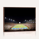 SMU Mustangs Football Team Print - Dallas Gerald J. Ford