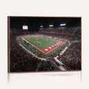 Houston Cougars Football Team Print - Houston TDECU Stadium