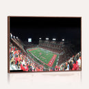 Houston Cougars Football Team Print - Houston TDECU Stadium