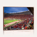 Wisconsin Badgers Football Team Print - Madison Camp Randall