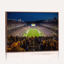 Pittsburgh Panthers Football Team Print - Pittsburgh