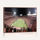 University of Louisville Cardinals Football Team Print -