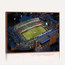 University of North Texas Mean Green Football Artwork,