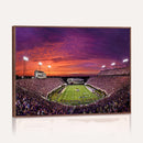 East Carolina University Pirates Football Print Canvas-