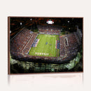 Florida Atlantic University Owls Football Team Print - Boca