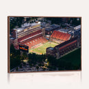 University of Illinois Fighting Illini Football Team Print -