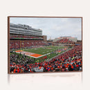 University of Illinois Fighting Illini Football Team Print -