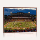 University of Illinois Fighting Illini Football Team Print -