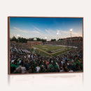 University of Charlotte 49ers Football Team Print -
