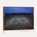 University of Michigan Wolverines Football Team Print - Ann