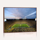 University of Michigan Wolverines Football Team Print - Ann