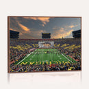 University of Michigan Wolverines Print Canvas, Football