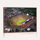 University of Michigan Wolverines Football Team Print - Ann