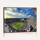 Framed USF Bulls Football Team Print - Tampa Raymond James