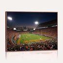 Clemson University Tigers Art Print, Football Team Print -