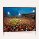 Clemson University Tigers Football Team Print - Clemson