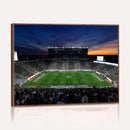Michigan State Spartans Football Team Print - East Lansing