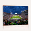 Michigan State Spartans Football Team Print - East Lansing