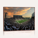 Michigan State Spartans Football Team Print - East Lansing