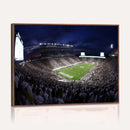Michigan State Spartans Canvas, Framed Football Team Print -