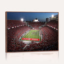 Ohio State University Buckeyes Football Team Print -