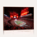Ohio State University Buckeyes Football Team Print -