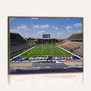 Rice University Owls Football Team Print - Houston Rice