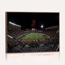 Framed Texas Tech Red Raiders Stadium Canvas, Texas Tech Red