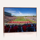 Ball State Cardinals Football Team Print - Muncie Scheumann