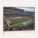The Temple University Owls Athletics Team Print -