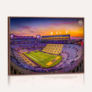 The Louisiana State University Tigers Football Team Print -