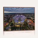 The Louisiana State University Tigers Football Team Print -