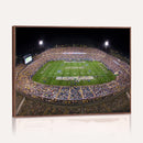 The University of Connecticut UCONN Huskies Football Team