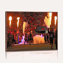 The University of Texas at San Antonio Roadrunners Football