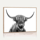Scottish Highland Cow Cattle Art Print Wall Art Canvas Print