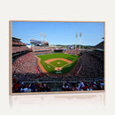 Cincinnati Reds Baseball Canvas Print - American Ball