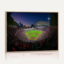 Houston Astros Baseball Print Canvas - Houston Minute Maid