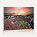 Indiana Memorial Stadium Wall Art Canvas Print, Framed