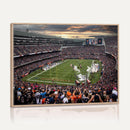 Chicago Bears Soldiers Field Wall Art Canvas Print – Framed