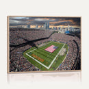 Chicago Bears Soldiers Field Wall Art Canvas Print – Framed
