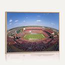William Brice Stadium Wall Art Canvas Print – Stadium Crowd