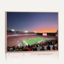 Dooley Stadium Wall Art, Sports Arena Canvas Print, Dooley