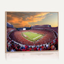 Dooley Stadium Wall Art, Sports Arena Canvas Print, Dooley