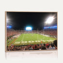 Dooley Stadium Wall Art, Sports Arena Panoramic Canvas