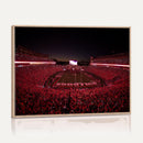 Sanford Stadium Wall Art Canvas Print – Georgia Bulldogs