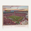 Donald W. Reynolds Razorback Stadium Wall Art Canvas Print –